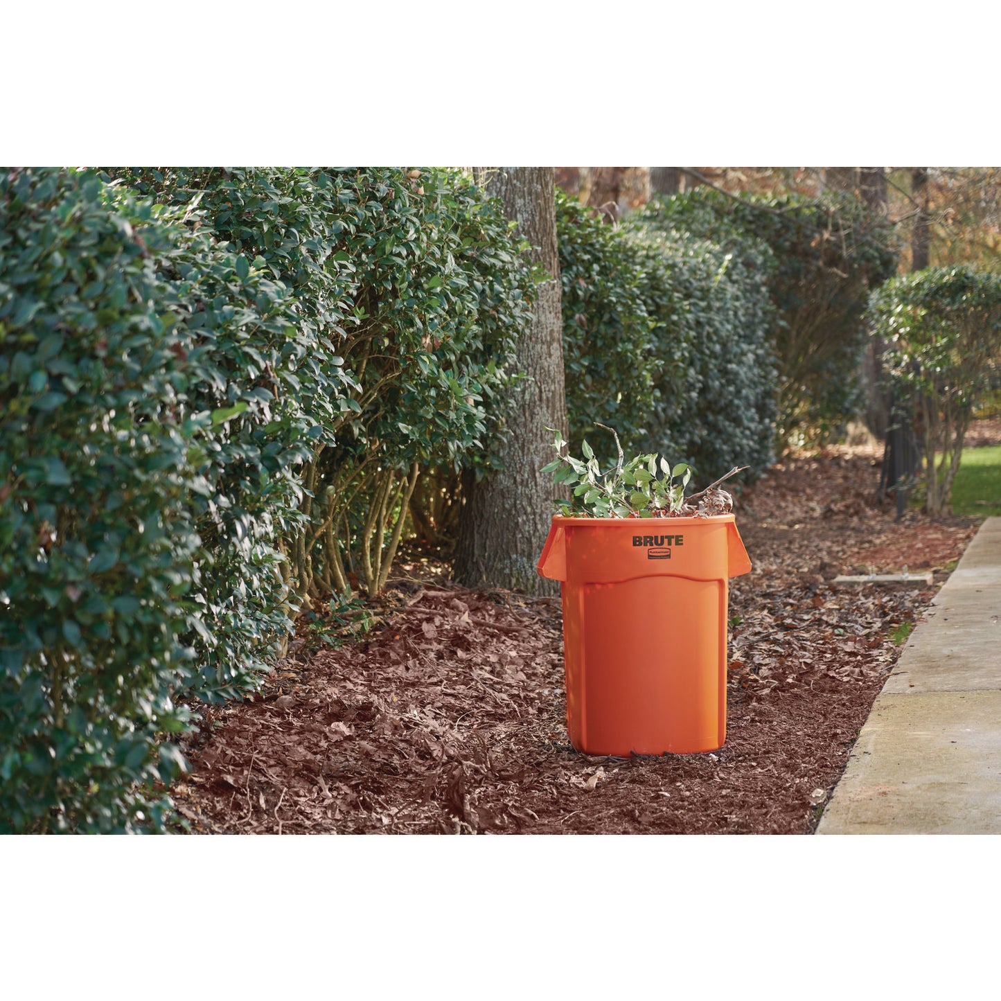 Brute Round Container, 32 gal, Resin, Orange