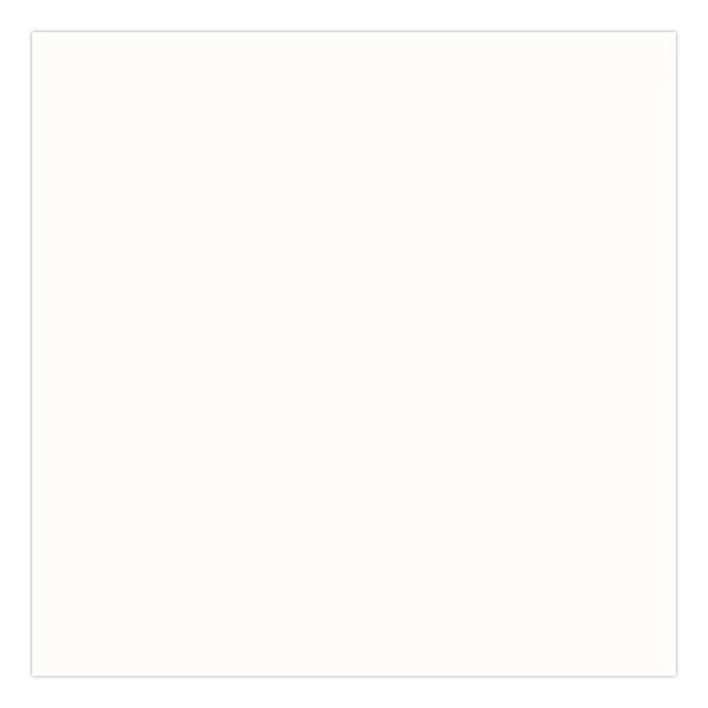 Universal Premium Spray Paint, Gloss White, 12 oz Aerosol Can
