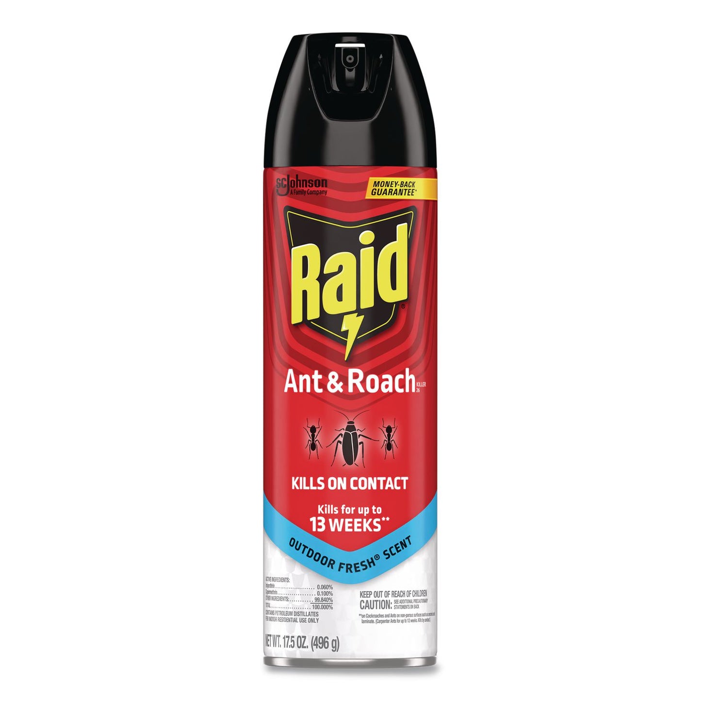 Ant and Roach Killer, 17.5 oz Aerosol Spray, Outdoor Fresh