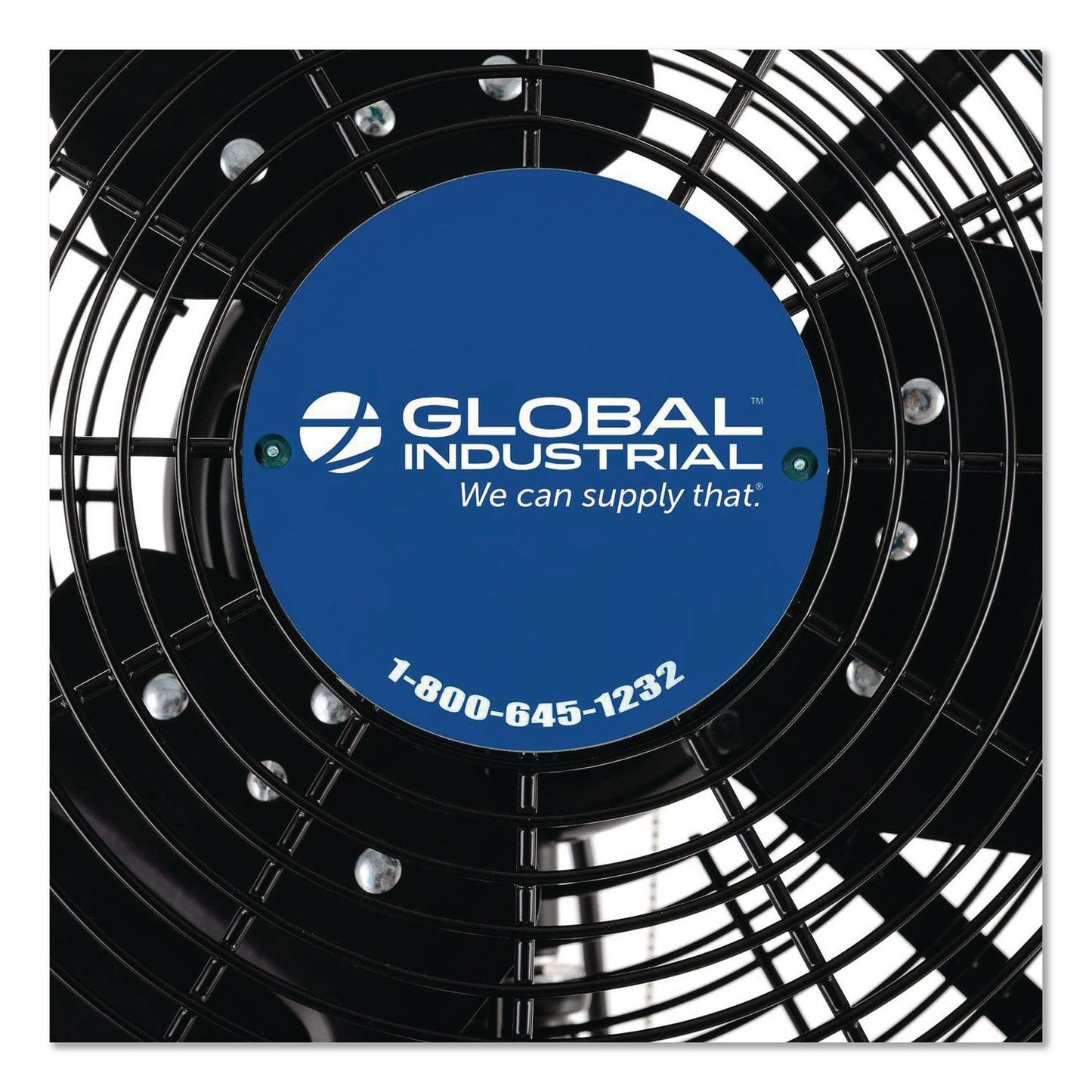 2 Speed Oscillating Outdoor Rated Wall Mount Fan, 30", Black