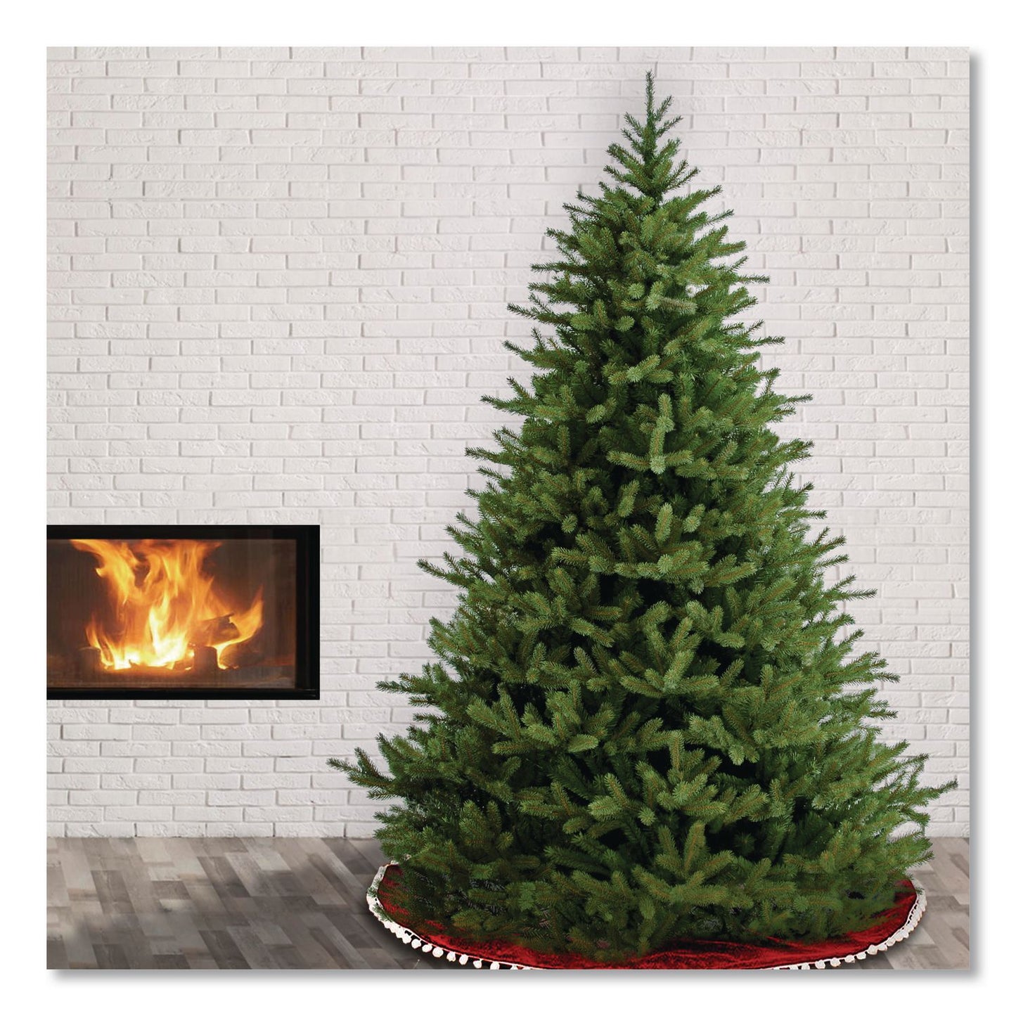 Norway Fir Tree, 58" x 58" x 84", Green Tree, Green Tree Stand