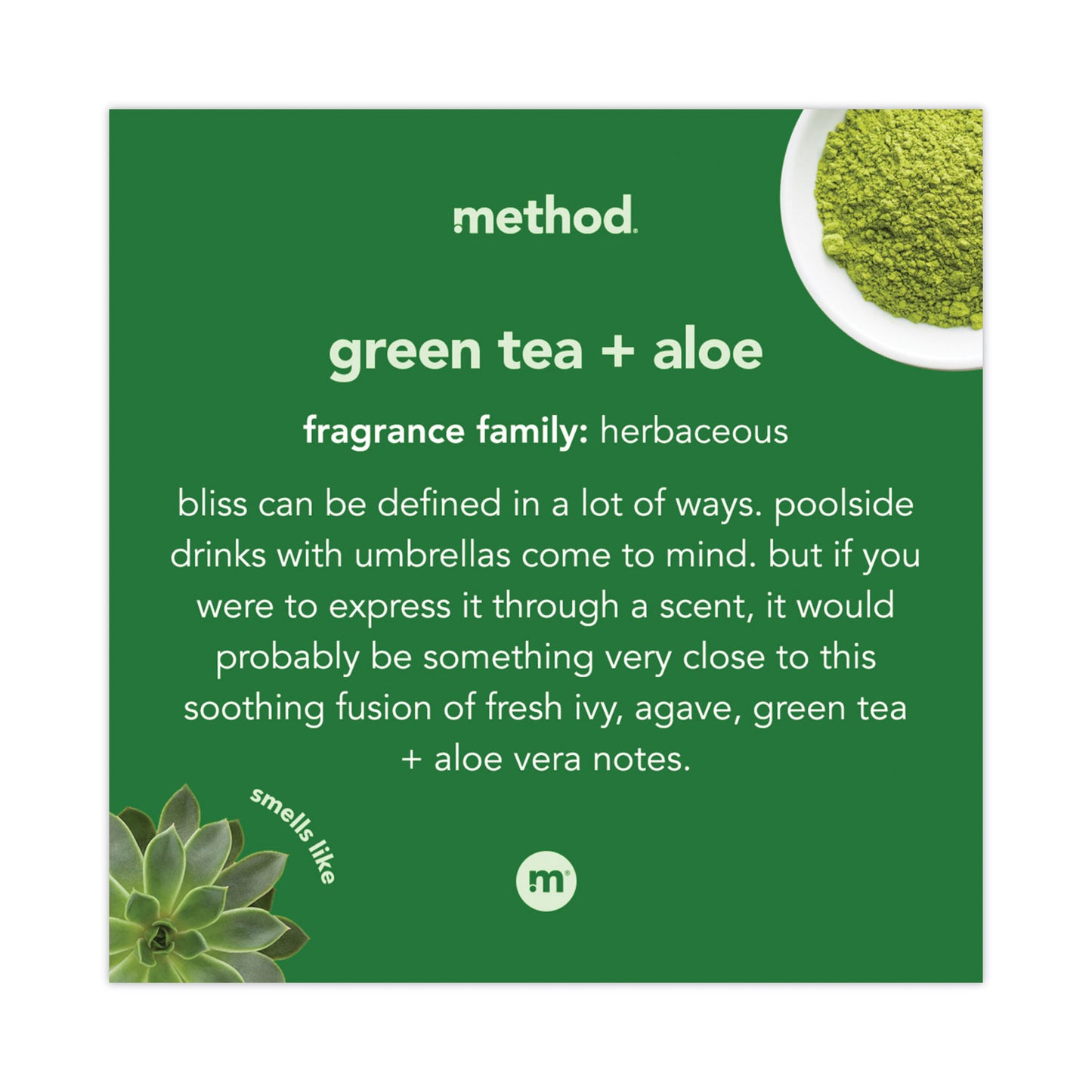 Foaming Hand Wash, Green Tea and Aloe Scent, 10 oz